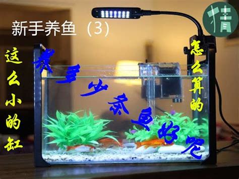 魚缸重量計算|魚缸計算機｜魚缸過濾｜魚缸光照｜魚缸溫度｜魚缸Di